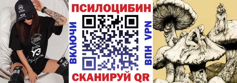 Галлюциногенные грибы мицелий KRAKEN ссылка Кызыл